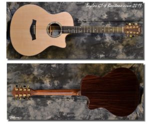 Taylor GT-8 Baritone 2011 (Consignment) - SOLD